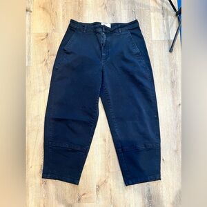 EVERLANE UTILITY BARREL PANT
